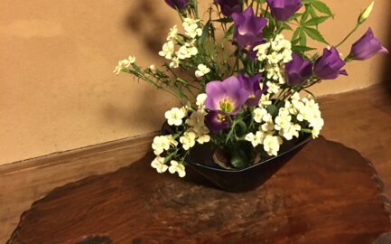 Acquista tavoli bonsai online Acquista tavoli bonsai online