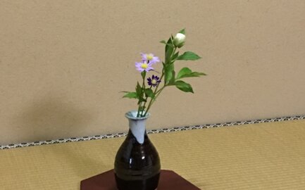 Acquista vasi per ikebana online Acquista vasi per ikebana online