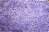 Farbiges Japanpapier für Shoji online kaufen