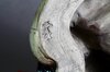 Keramikfigur Hotei – Glücksbringer und Symbol für Zufriedenheit Keramikfigur Hotei – Glücksbringer und Symbol für Zufriedenheit