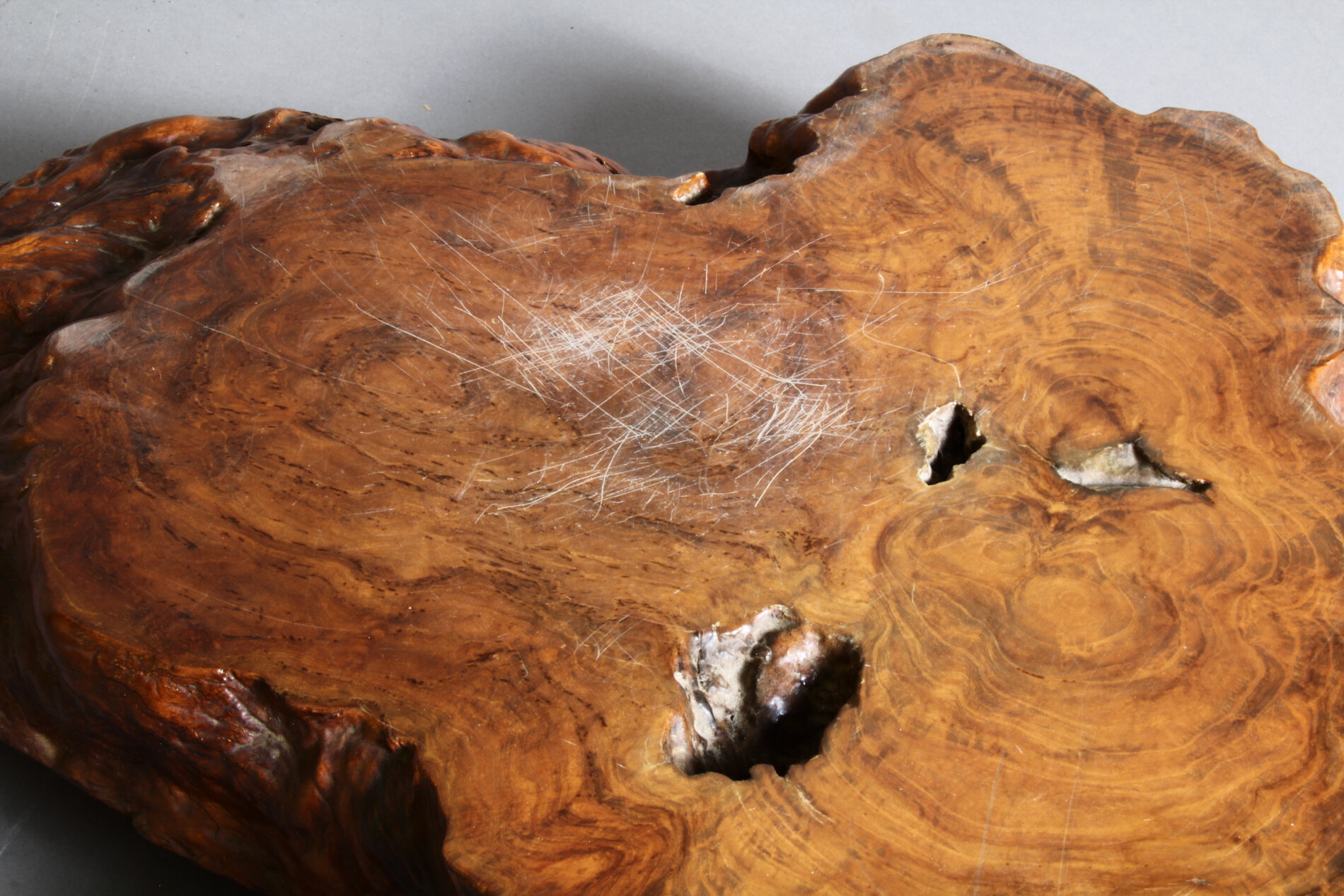 Bonsai Untersetzer online kaufen