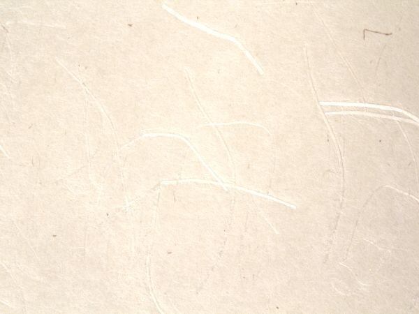 Fusuma Papier ohne Motiv (creme) online kaufen