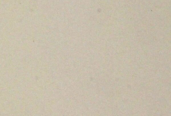 Fusumapapier ohne Motiv (creme) online kaufen