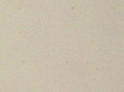 Fusumapapier ohne Motiv (creme) online kaufen Fusumapapier ohne Motiv (creme) online kaufen