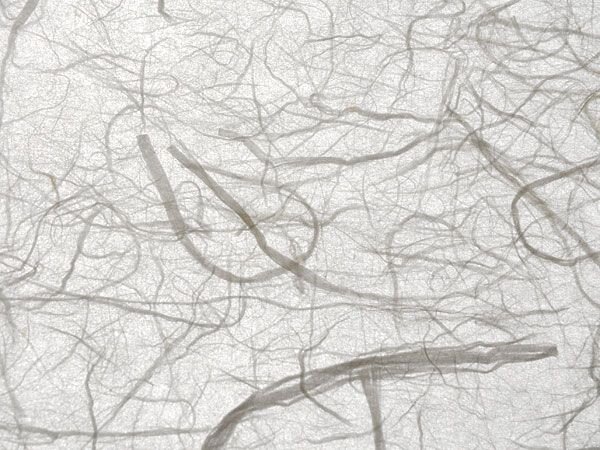 Harukishi Unryu, Japanpapier für Shoji online kaufen
